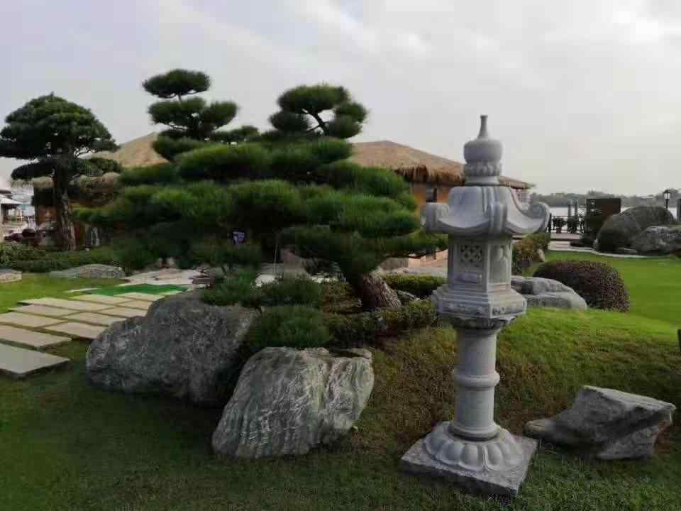 景观石选择要注意地域差异性