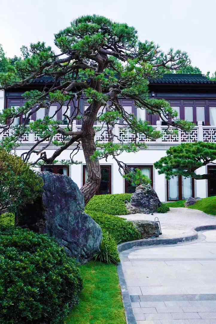 景观石的时代潮流