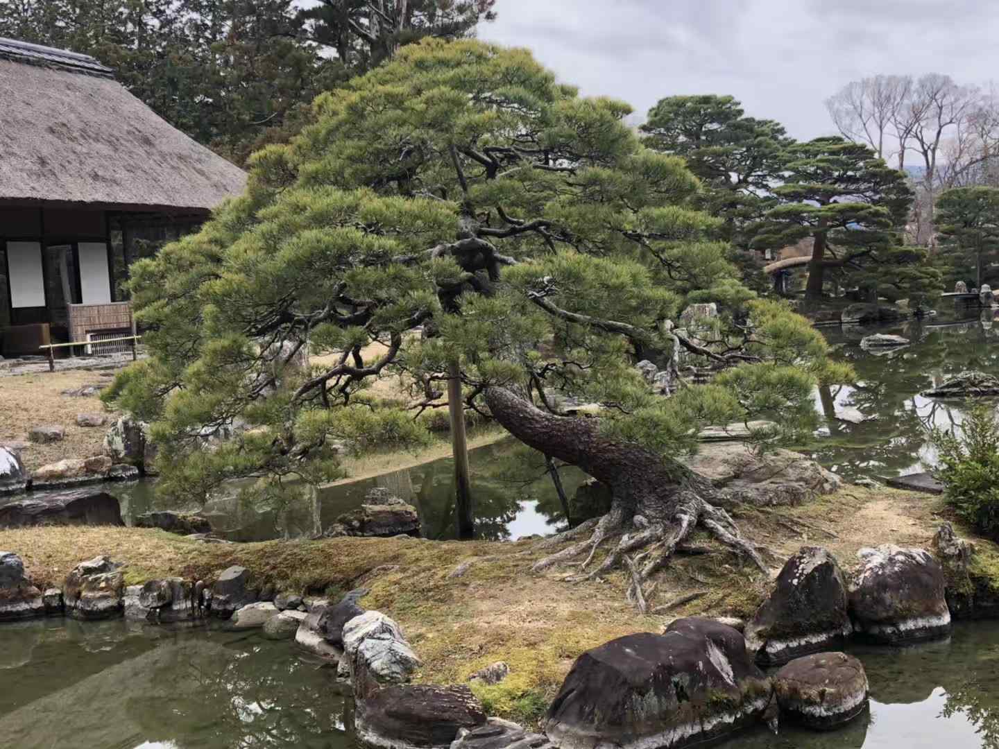 石之美者——太湖石