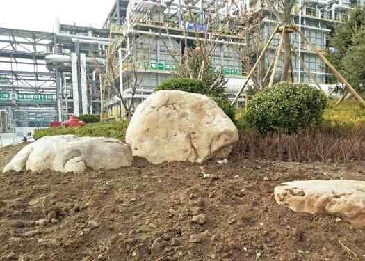 景观石是一种文化还是一种产品