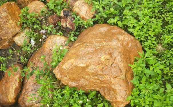 优质黄蜡石的辨别方法