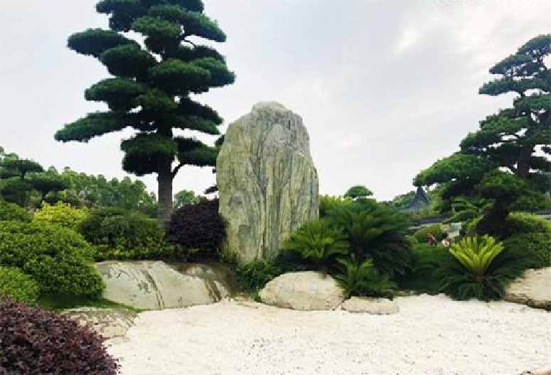 大型景观石的应用