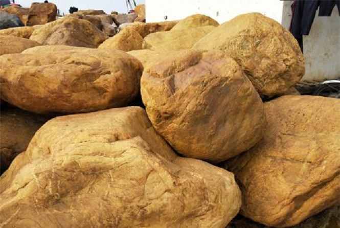 新时代的景观石艺术风格