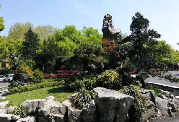 景观石的绿化搭配