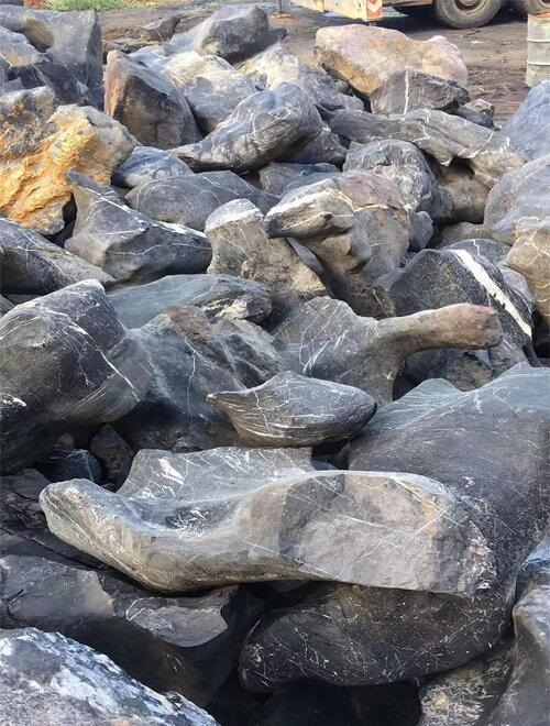 造型奇特的太湖石