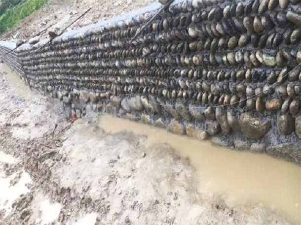 景观石即将迎来繁荣鼎盛的时期