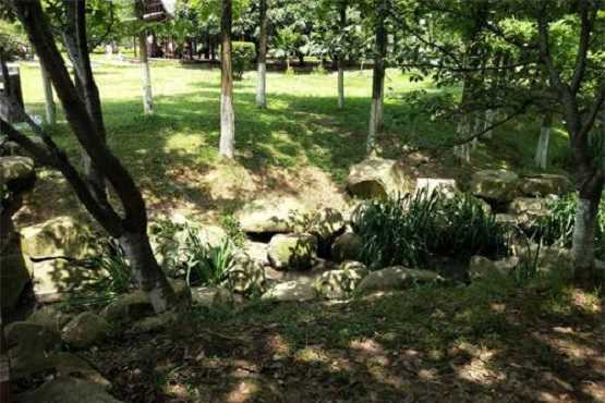 景观石脏污怎么处理