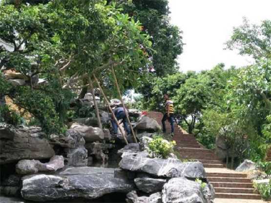 哪家公司的景观石好