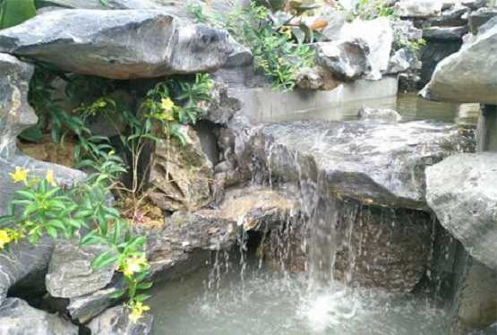 太湖石该怎么选购