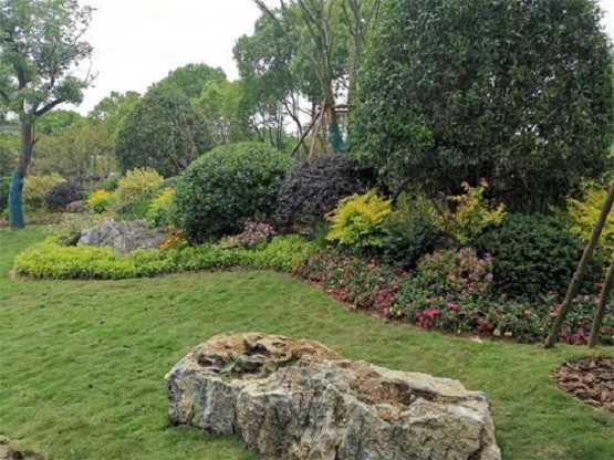 太湖石最受人喜爱的特点