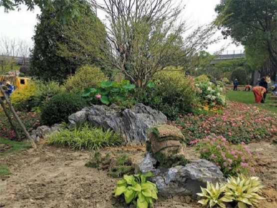 如何给太湖石起一个好名字