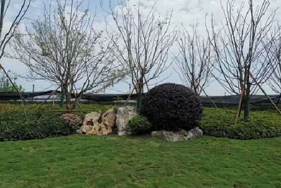 景观石是如何形成的