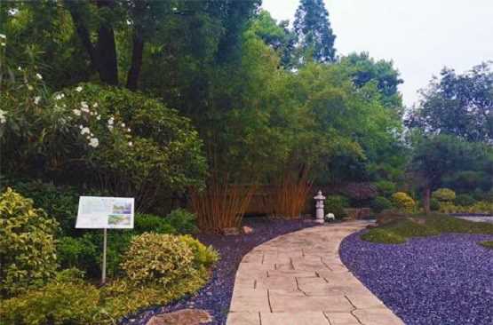 自然景观石的选用与加工