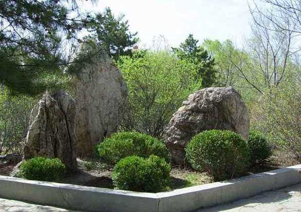 植物跟石头怎样搭配才好看