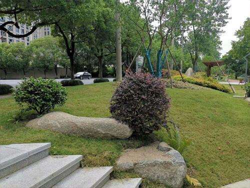 怎么挑选到合适的景观石