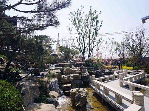 怎么给一块太湖石起个好名字