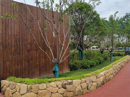 福建的景观石为什么这么受欢迎