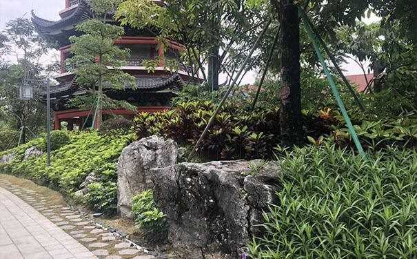 景观石怎么用最好看