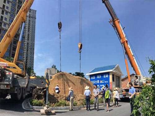 景观石怎么摆放才最美观