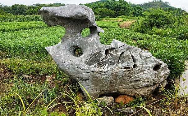 教你选购太湖石的小诀窍