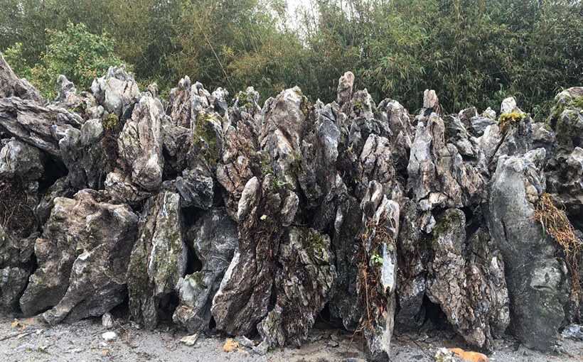 英石的价格上涨很快的原因