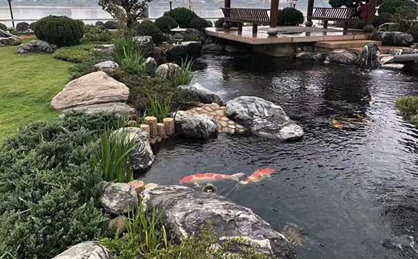 景观石都应用在什么地方